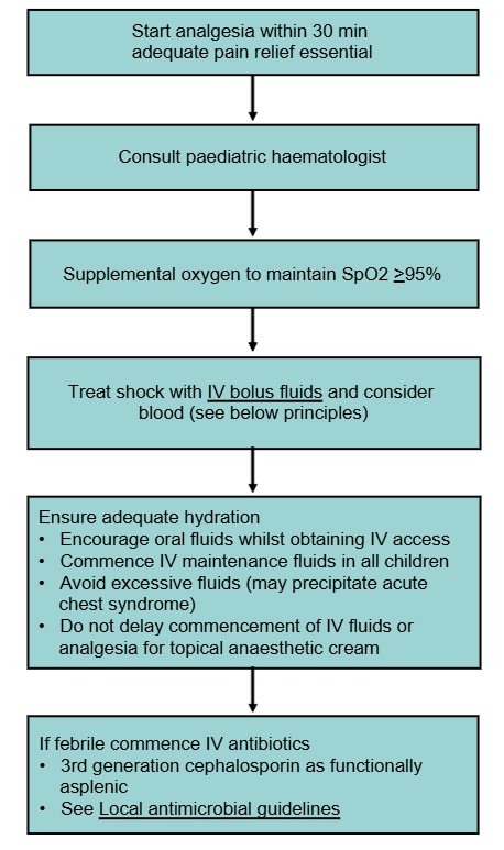 CPG Flowchart Sickle Cell Disease_Sep2026